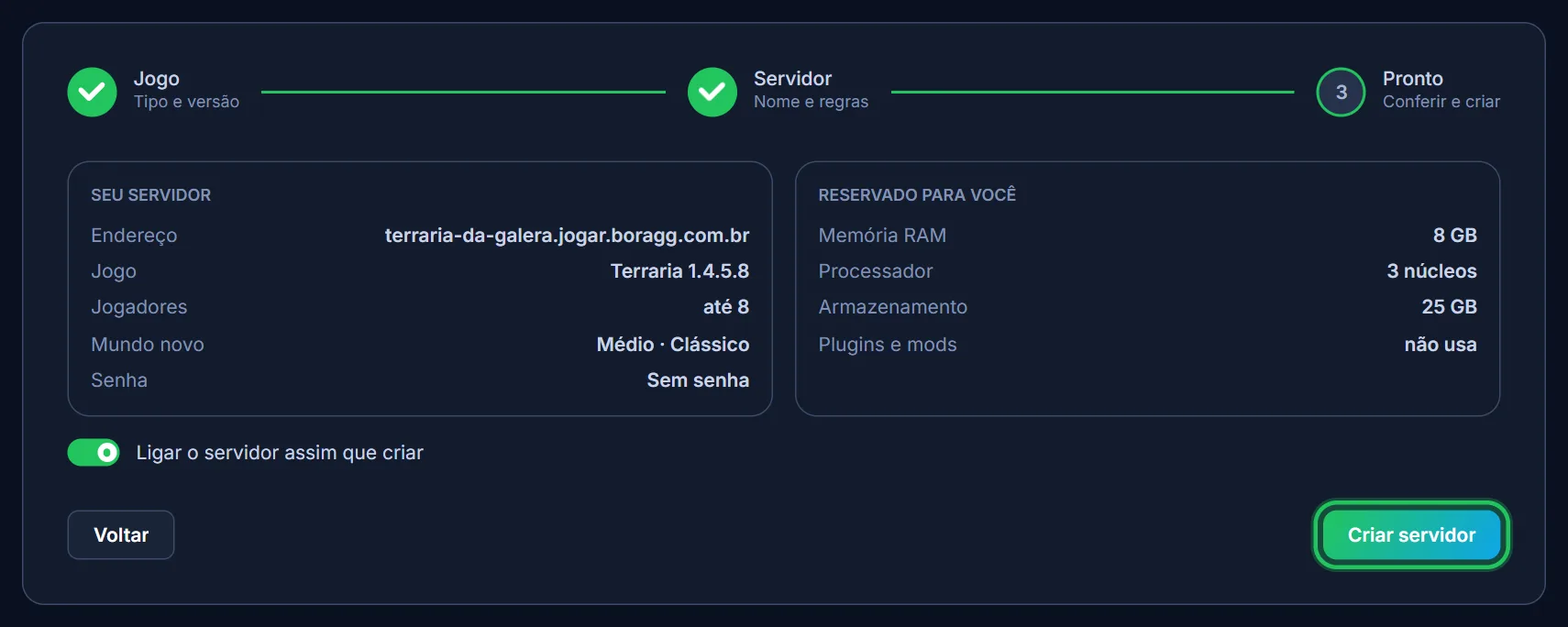 Confira o resumo e clique em Criar servidor.